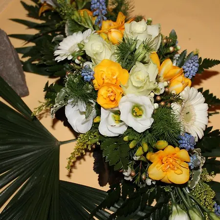 Rheinterrasse Benrath ホテル