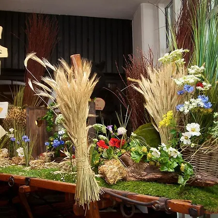 Rheinterrasse Benrath 4* Dusseldorf