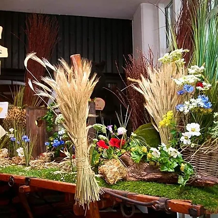 Rheinterrasse Benrath Hotel Dusseldorf